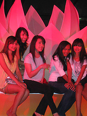 Real user submitted photos of hot Ladyboy girlfriends - Asian ladyboys porn at Thai LB Sex