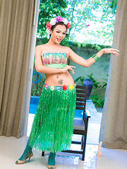Hula Whore - Asian ladyboys porn at Thai LB Sex